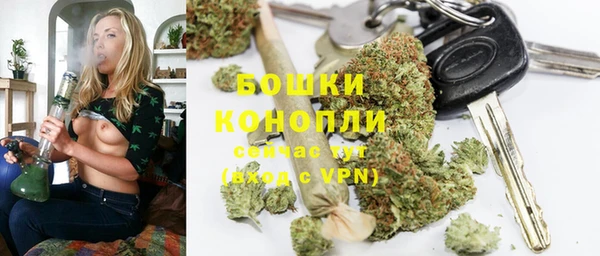 гашик Заводоуковск