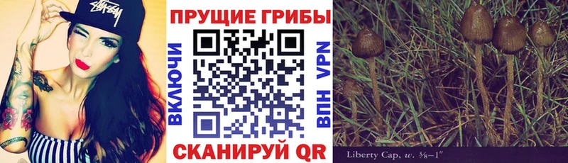 Псилоцибиновые грибы мухоморы  где найти   Катайск 